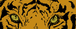 eyes.gif (1463 bytes)